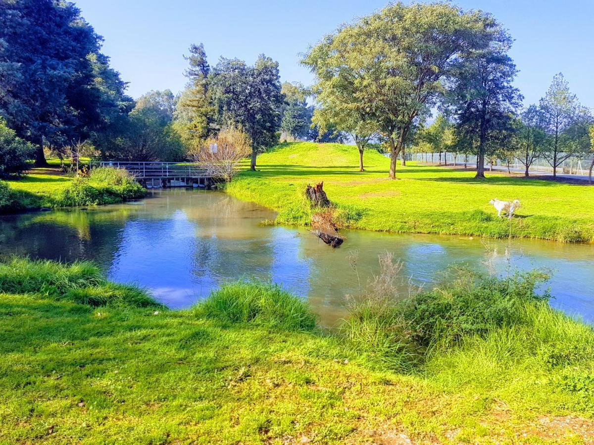 Huge & Private Villa In Kibbutz 达夫纳 外观 照片