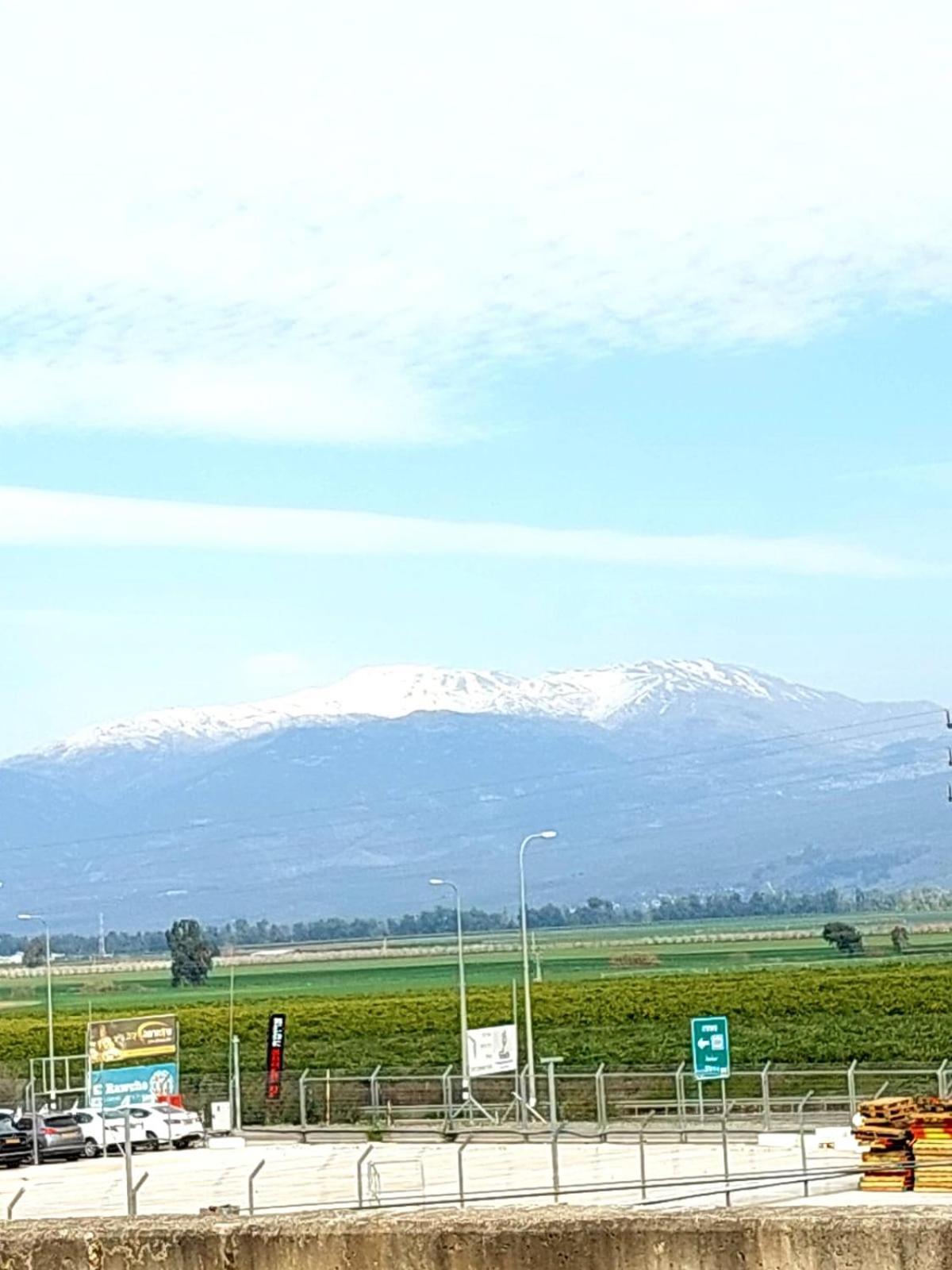 Huge & Private Villa In Kibbutz 达夫纳 外观 照片