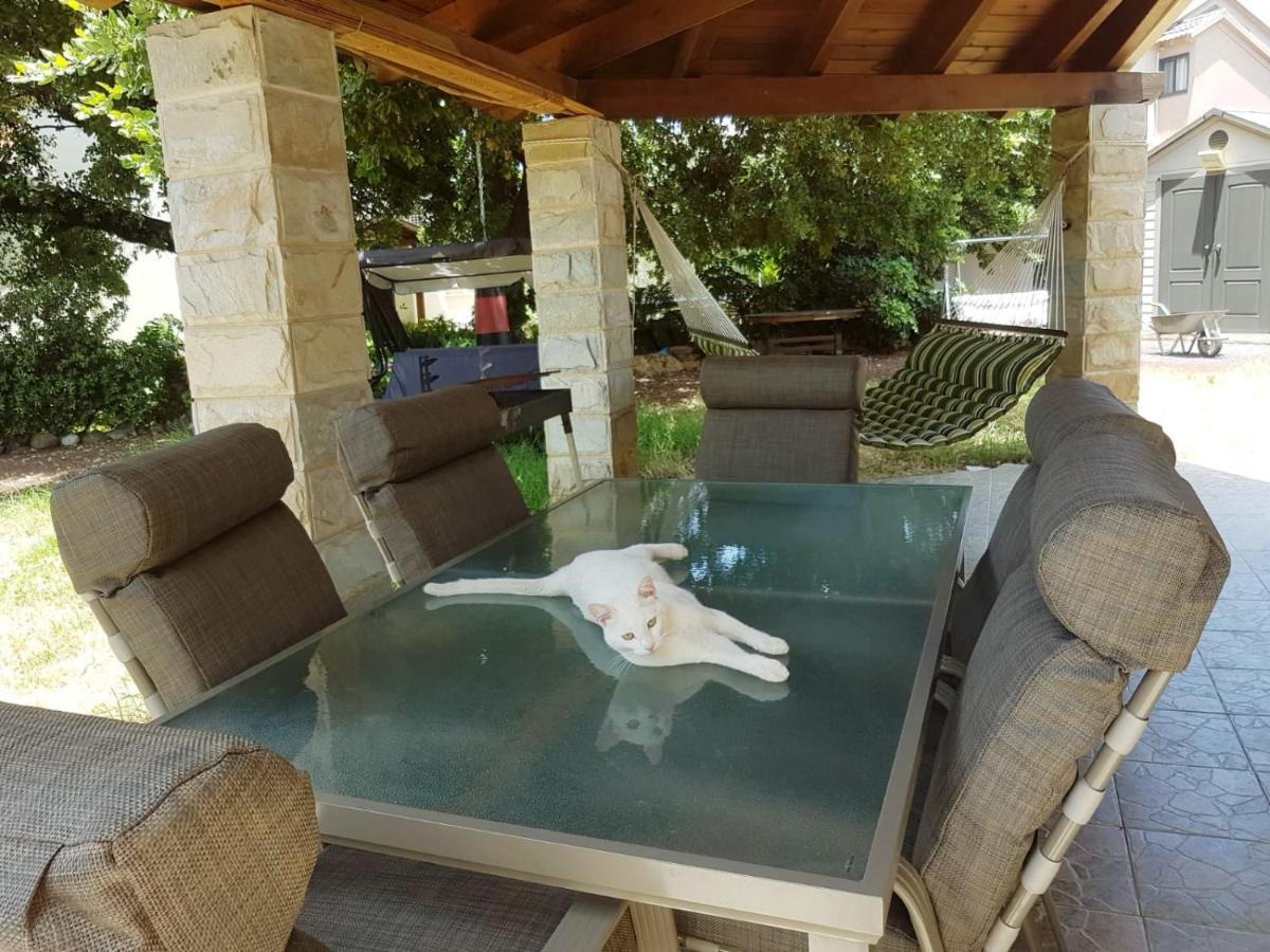 Huge & Private Villa In Kibbutz 达夫纳 外观 照片